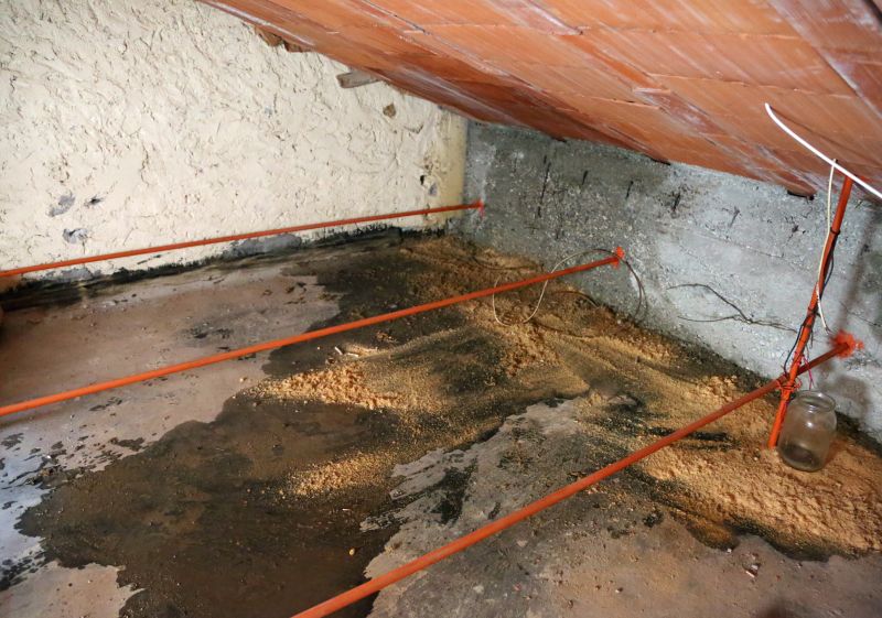 Attic Water Damage Repair in Alpharetta, GA