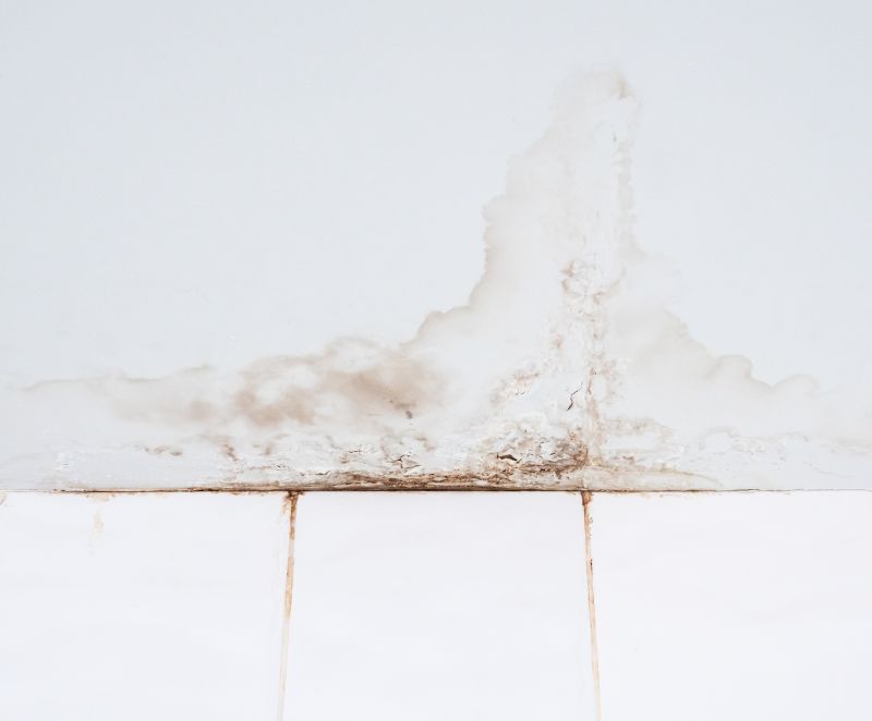 Bathroom Water Damage Repair in Charleston, SC