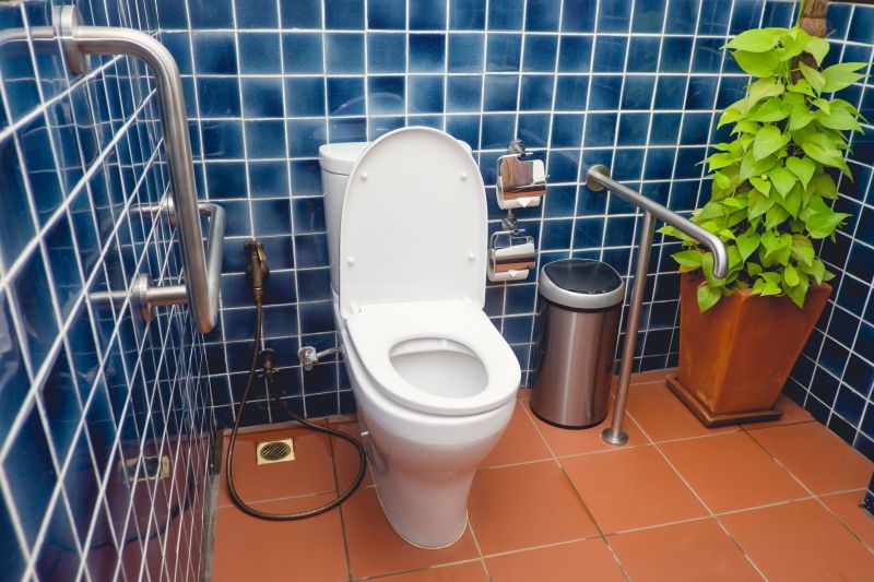 Grab Bar Installation in Kansas City, KS